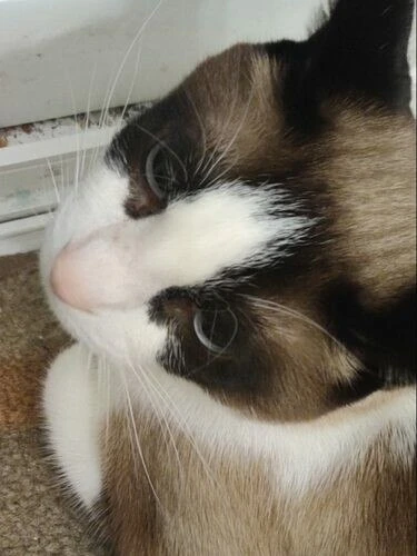 L0B0T0 Profile image 3